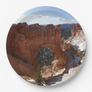 Bryce Canyon Natural Bridge Snowy Landscape Foto Pappteller