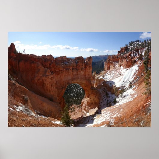 Bryce Canyon Natural Bridge Snowy Landscape Foto Poster (Vorne)