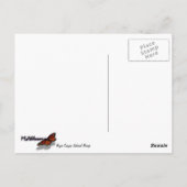 Bryce Canyon Natural Bridge Snowy Landscape Foto Postkarte (Rückseite)