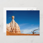 Bryce Canyon NP - Gnome und eine Baumpostkarte Postkarte (Vorne/Hinten)