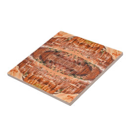 Bryce Canyon Park Utah Landscape Hoodoos Photo Fliese