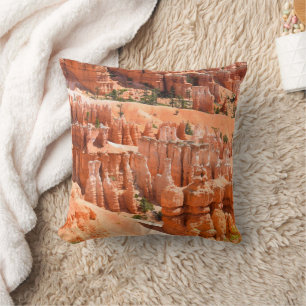 Bryce Canyon Park Utah Landschaft Hoodoos Foto Kissen