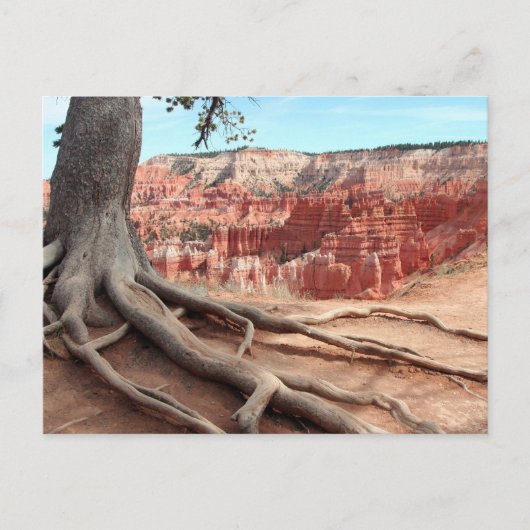 Bryce Canyon Postcard Postkarte (Vorderseite)