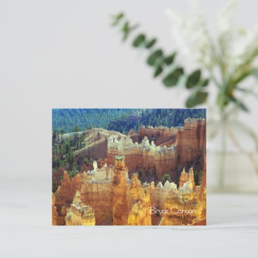 Bryce Canyon Postkarte (Stehend Vorderseite)
