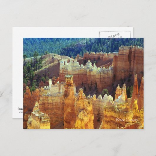 Bryce Canyon Postkarte (Vorne/Hinten)