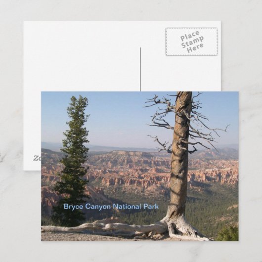 Bryce Canyon Postkarte (Vorne/Hinten)