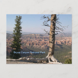 Bryce Canyon Postkarte