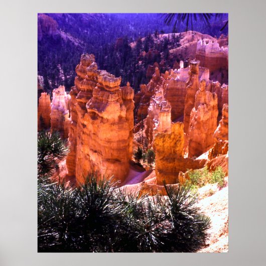 Bryce Canyon Print Poster (Vorne)