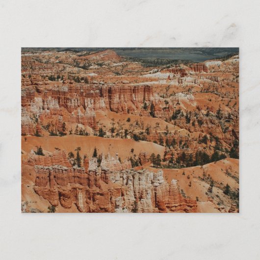 Bryce Canyon, Ut Postkarte (Vorderseite)