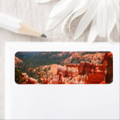 Bryce Canyon, Utah (Insitu)