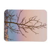 Bryce Canyon, Utah. Bare tree vor Sonnenuntergang Magnet (Horizontal)