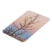 Bryce Canyon, Utah. Bare tree vor Sonnenuntergang Magnet (Linke Seite)