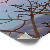 Bryce Canyon, Utah. Bare tree vor Sonnenuntergang Poster (Ecke)