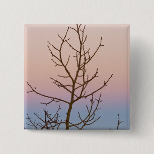 Bryce Canyon, Utah. Kahlbaum vor Sonnenuntergang Button