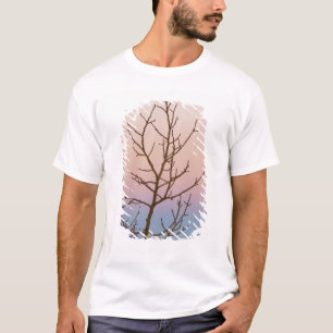 Bryce Canyon, Utah. Kahlbaum vor Sonnenuntergang T-Shirt