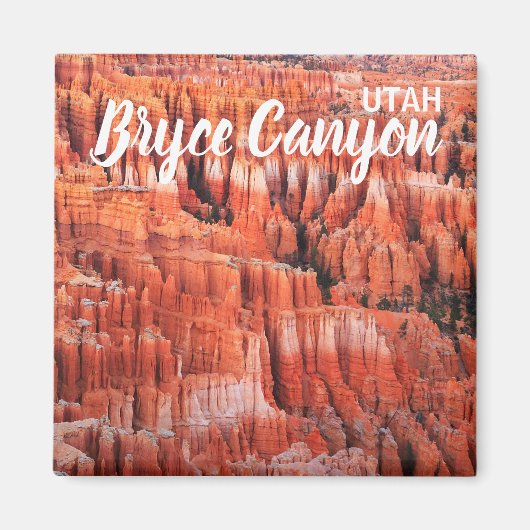 Bryce Canyon Utah Magnet (Vorne)