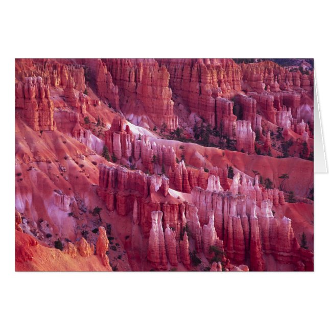 Bryce Canyon, Utah, USA (Vorderseite (Horizontal))