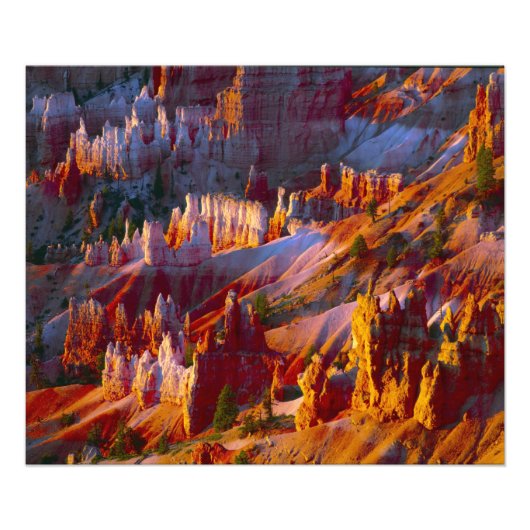 Bryce Canyon, Utah, USA 2 Fotodruck (Vorne)