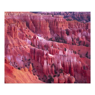 Bryce Canyon, Utah, USA Fotodruck