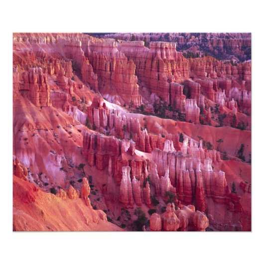 Bryce Canyon, Utah, USA Fotodruck (Vorne)