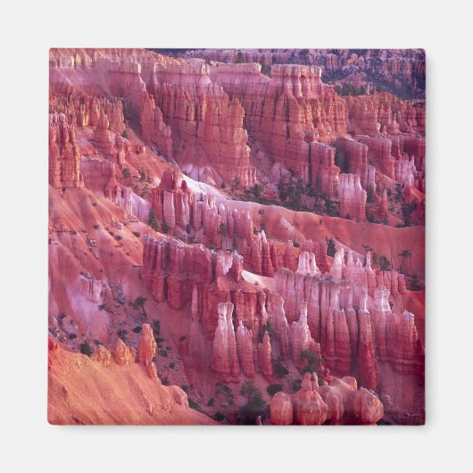 Bryce Canyon, Utah, USA Magnet (Vorne)