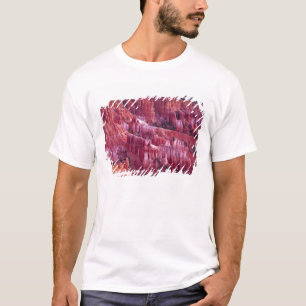 Bryce Canyon, Utah, Vereinigte Staaten T-Shirt