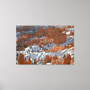 Bryce im Winter Leinwanddruck