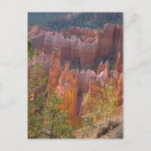 Bryce Postkarte (Vorderseite)