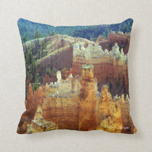 Bryce Schlucht Kissen