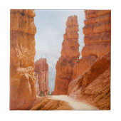Bryce Schlucht-Nationalpark-Spur Fliese (Vorderseite)
