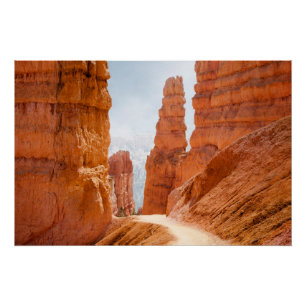 Bryce Schlucht-Nationalpark-Spur Poster