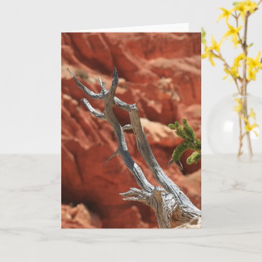 Bryce Schlucht-Szene Karte (Gelbe Blume)