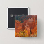 Bryce Schlucht Utah Button (Vorne & Hinten)