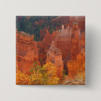 Bryce Schlucht Utah Button