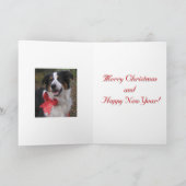 "Bryn with a Bow" Feiertagskarte (Innenseite)