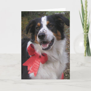 "Bryn with a Bow" Feiertagskarte