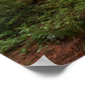 BRZ-Salatspur 2 Poster (Ecke)