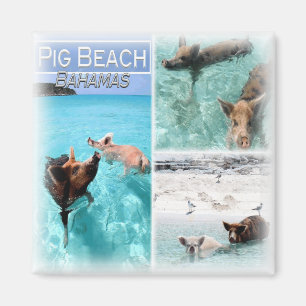 BS0018 America, Bahamas, Kühlschrank Magnet