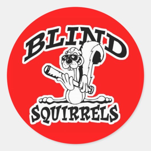 BS Aufkleber für die Windschutzscheibe (Vorderseite)