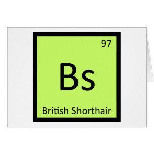 Bs - Britisch Kurzhaar Katze Chemie Element