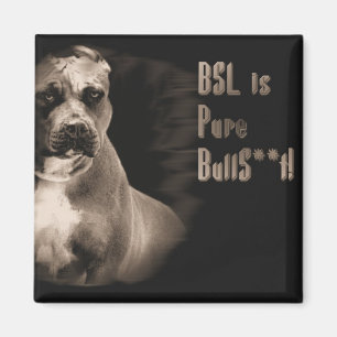 BSL ist reiner quadratischer Magnet BS