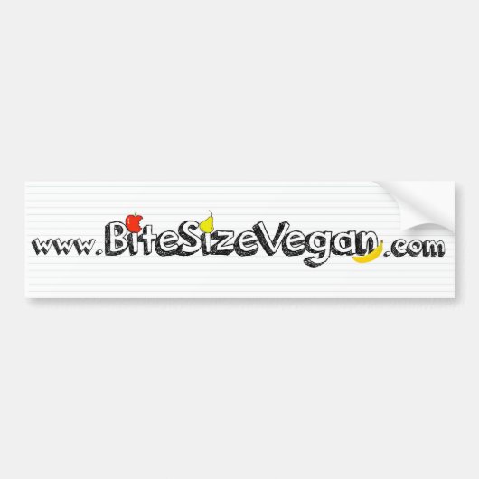 BSV Autoaufkleber (Vorne)