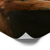 BT3 Quarter Pferde mit Headshots Poster (Ecke)