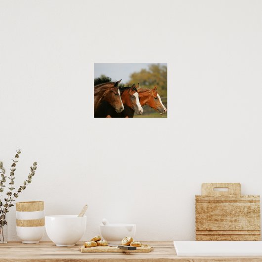 BT3 Quarter Pferde mit Headshots Poster (Küche)