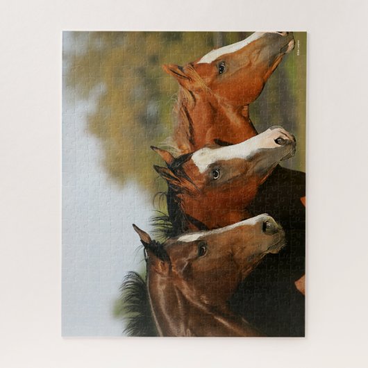 BT3 Quarter Pferde mit Headshots Puzzle (Vertikal)