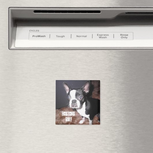 BT Magnet (In Situ (Geschirrspüler))