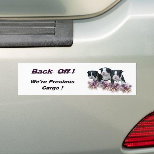 bt_pups_bumpersticker autoaufkleber (Auf Auto)