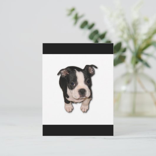 BTpup Postkarte (Stehend Vorderseite)