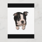 BTpup Postkarte (Vorderseite)