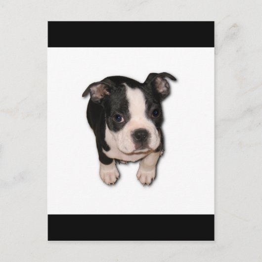BTpup Postkarte (Vorderseite)